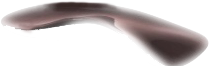 shoe insole